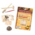 Tedco Toys Tedco Toys 90004 Fools Gold Dig Excavation Kit 90004